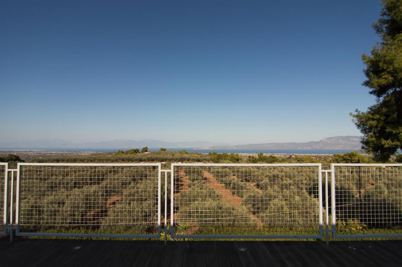 Country Villa Peloponnese With Tennis Court And Pool Zevgolateíon Eksteriør billede